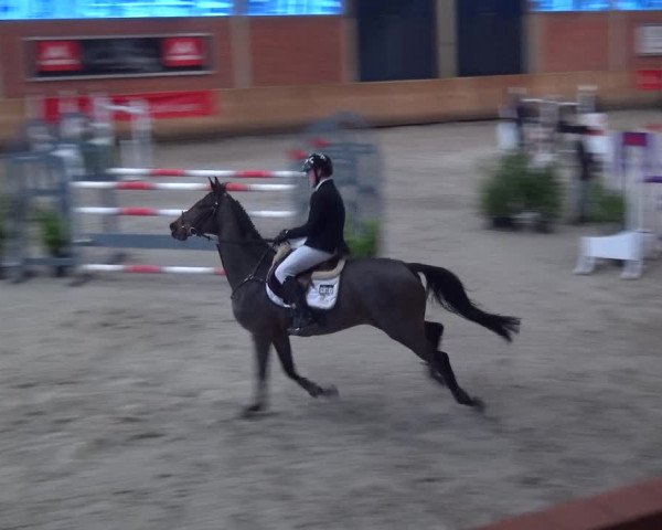 Reitturnier Mönchengladbach-Wickrath 2017