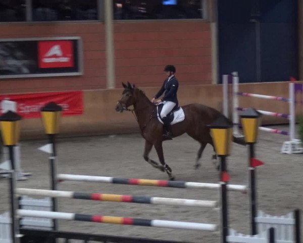 Reitturnier Mönchengladbach-Wickrath 2017