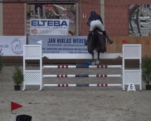 Reitturnier Mönchengladbach-Wickrath 2017