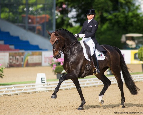 dressage horse Fohlenhofs Rock'n Rose (Hanoverian, 2004, from Rubin Royal OLD)