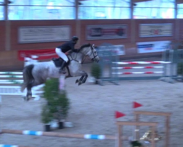 Reitturnier Mönchengladbach-Wickrath 2017