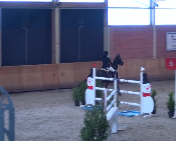 Reitturnier Mönchengladbach-Wickrath 2017