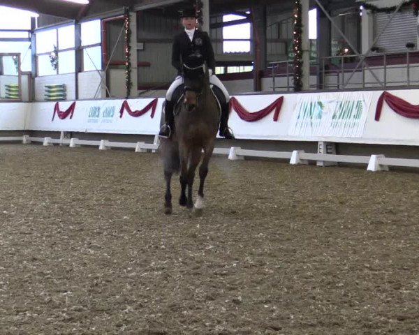Reitturnier Alt Marl 2017
