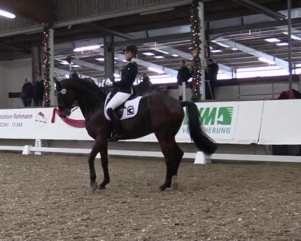 Reitturnier Alt Marl 2017