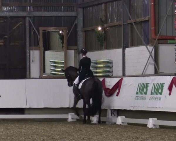 Reitturnier Alt Marl 2017