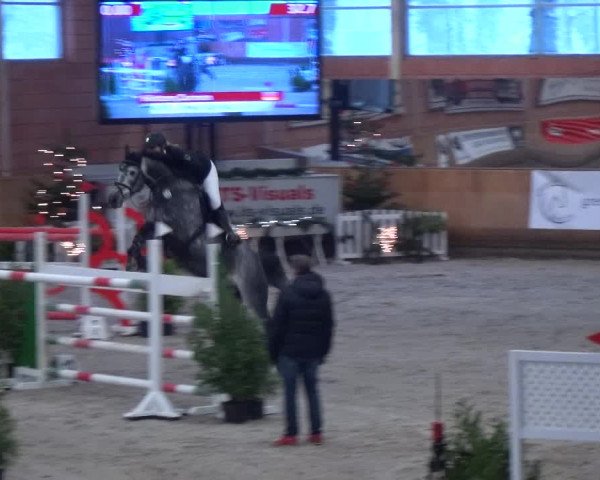 Reitturnier Mönchengladbach-Wickrath 2017