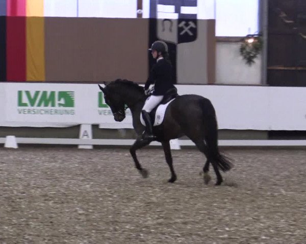 Reitturnier Alt Marl 2017