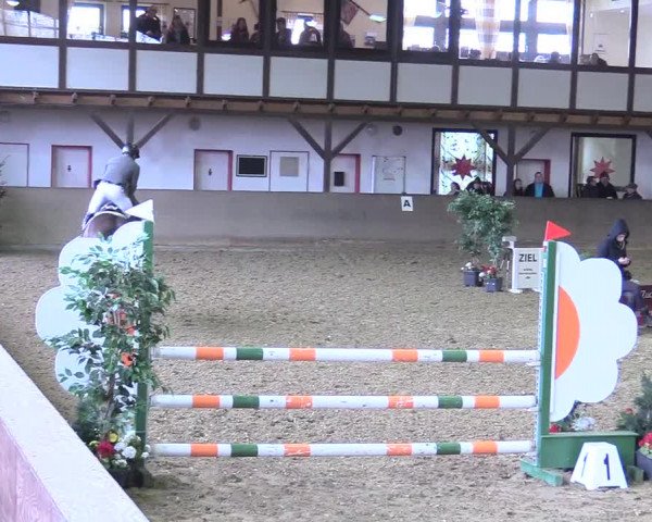 Reitturnier Kamen 2017