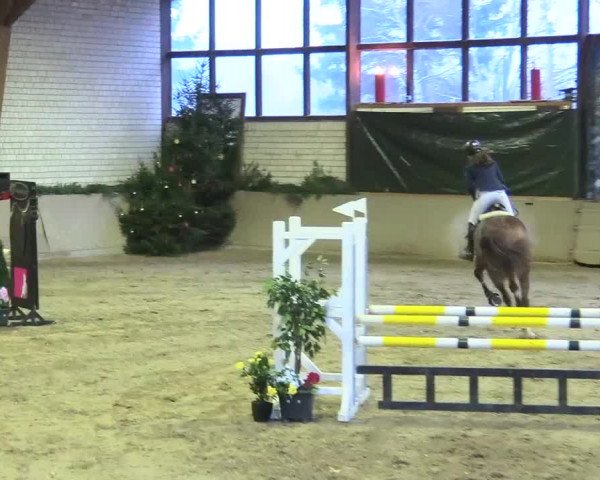 Reitturnier Kamen 2017