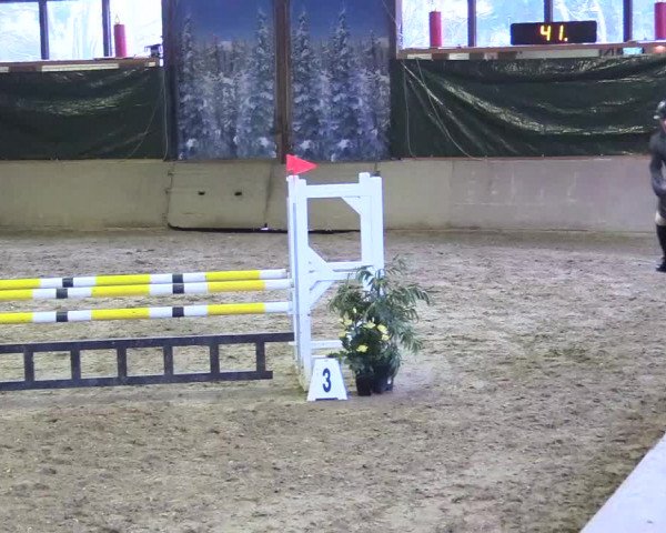 Reitturnier Kamen 2017