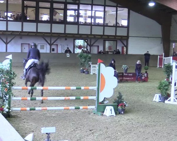 Reitturnier Kamen 2017