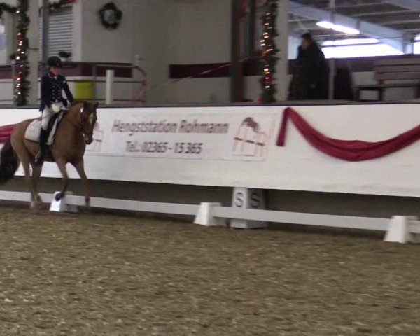 Reitturnier Alt Marl 2017