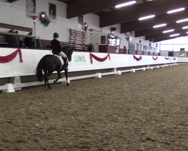 Reitturnier Alt Marl 2017