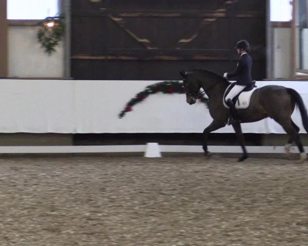 Reitturnier Alt Marl 2017