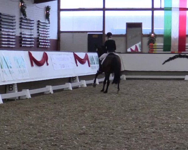 Reitturnier Alt Marl 2017