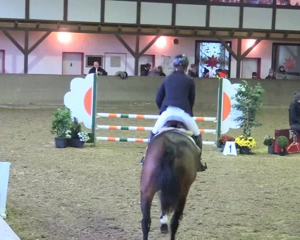 Reitturnier Kamen 2017