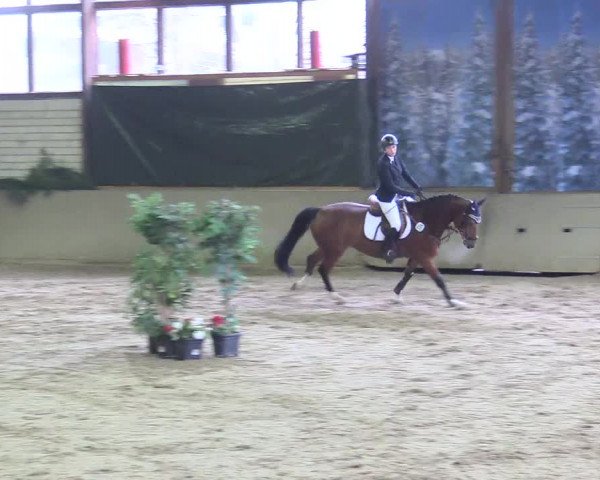 Reitturnier Kamen 2017