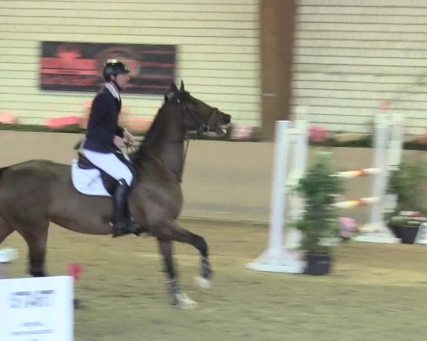 Reitturnier Kamen 2017
