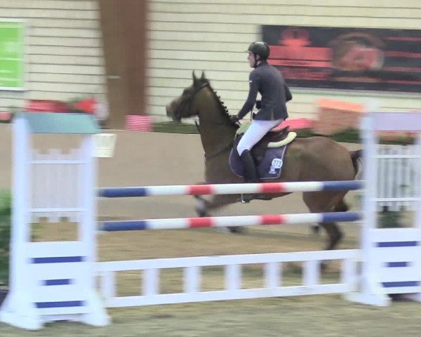 Reitturnier Kamen 2017