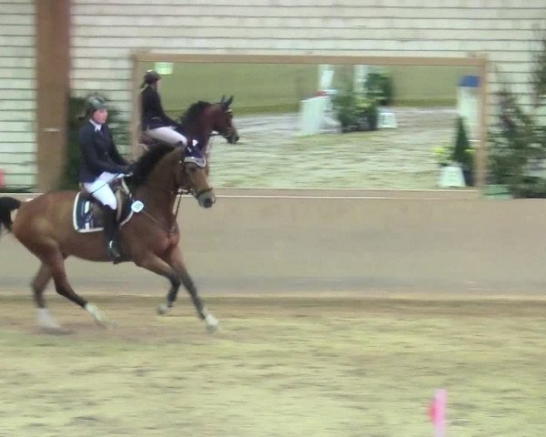 Reitturnier Kamen 2017