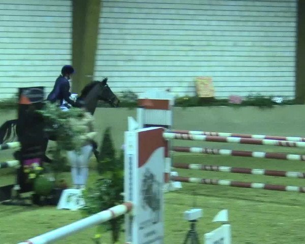 Reitturnier Kamen 2017
