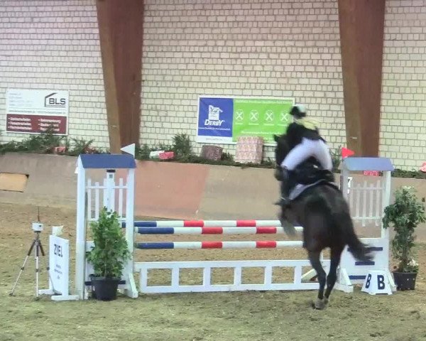 Reitturnier Kamen 2017