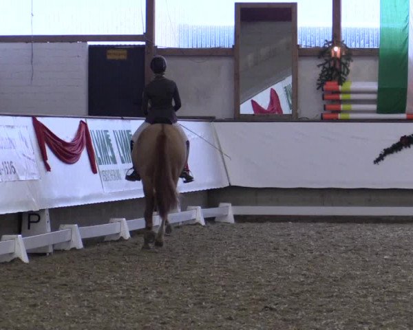 Reitturnier Alt Marl 2017