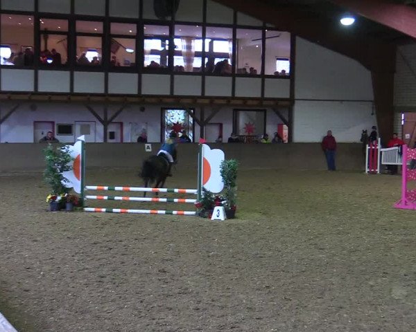 Reitturnier Kamen 2017