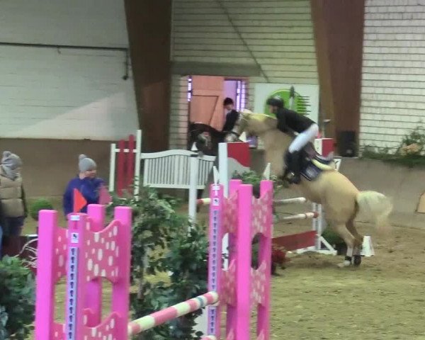 Reitturnier Kamen 2017