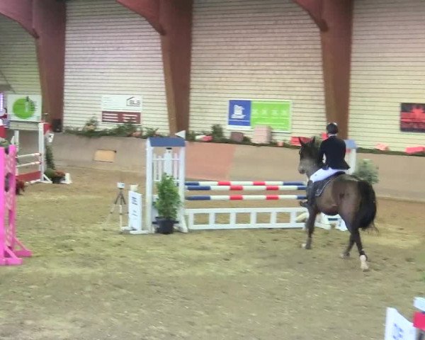 Reitturnier Kamen 2017