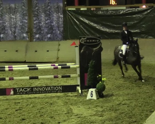 Reitturnier Kamen 2017