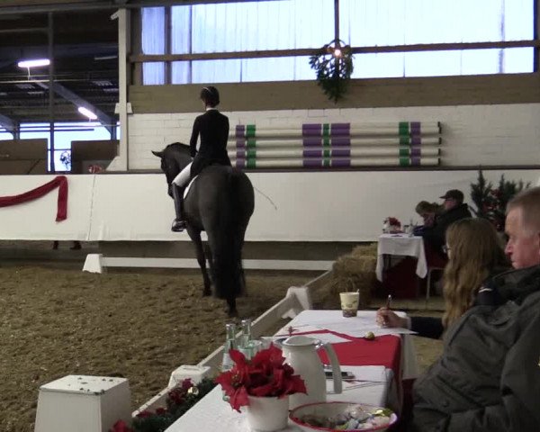 Reitturnier Alt Marl 2017
