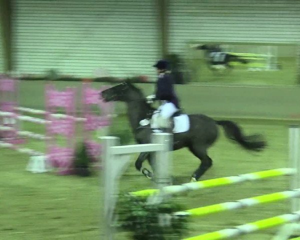 Reitturnier Kamen 2017