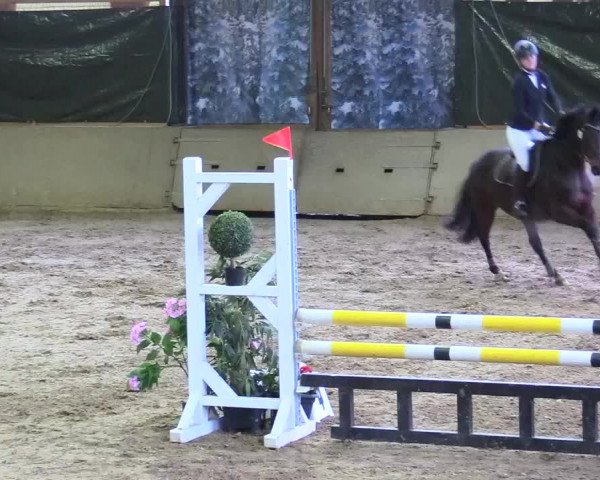 Reitturnier Kamen 2017