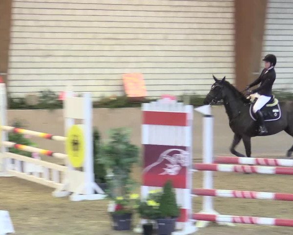 Reitturnier Kamen 2017