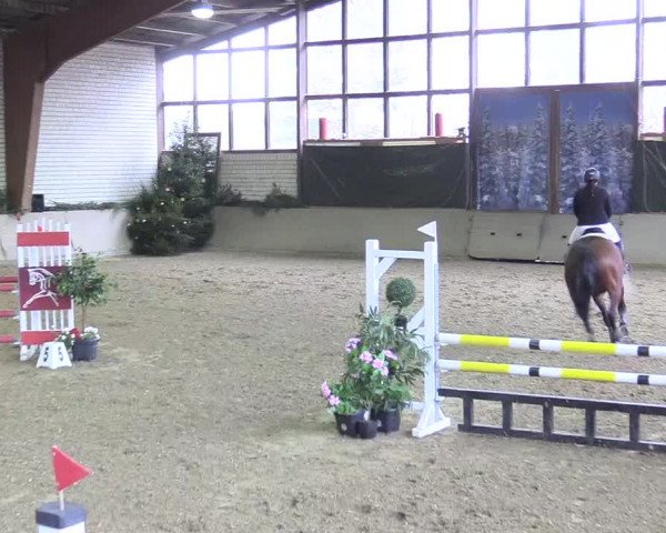 Reitturnier Kamen 2017