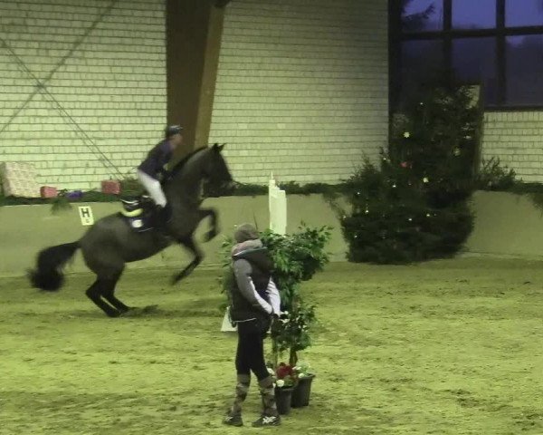 Reitturnier Kamen 2017