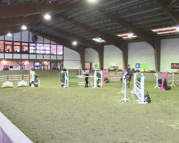 Reitturnier Kamen 2017