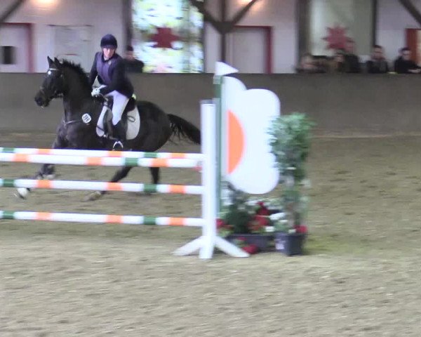 Reitturnier Kamen 2017