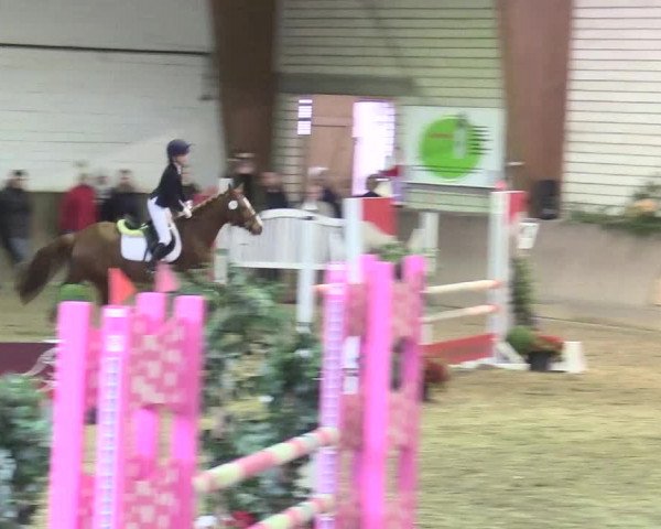 Reitturnier Kamen 2017