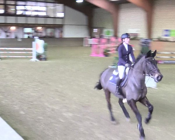 Reitturnier Kamen 2017
