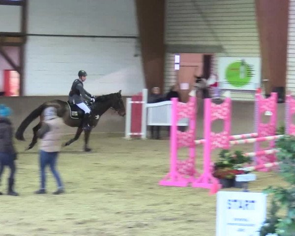 Reitturnier Kamen 2017