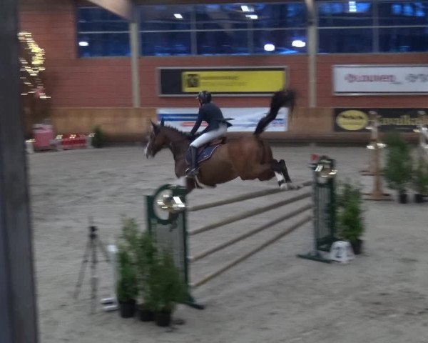 Reitturnier Mönchengladbach-Wickrath 2017