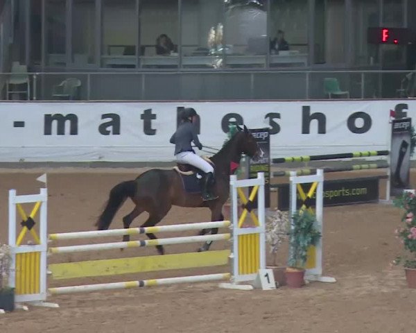 Reitturnier Kreuth 2017