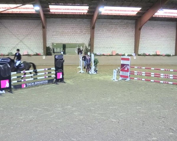 Reitturnier Kamen 2017