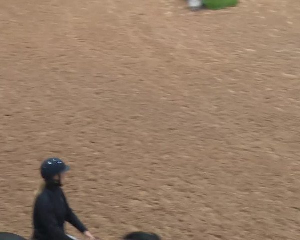 Reitturnier Kreuth 2017