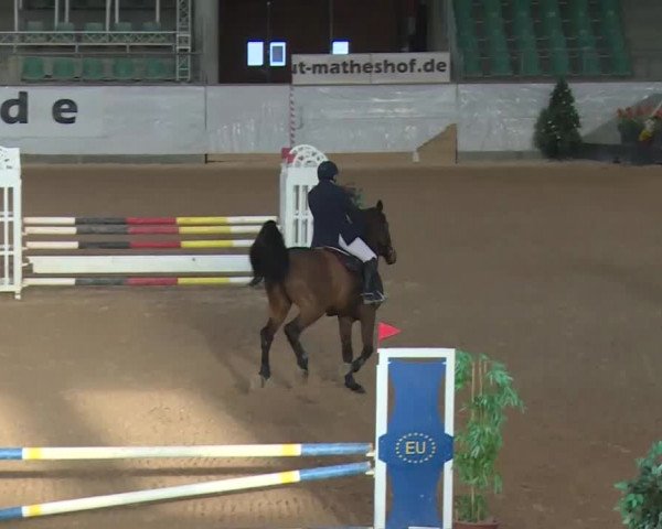 Reitturnier Kreuth 2017