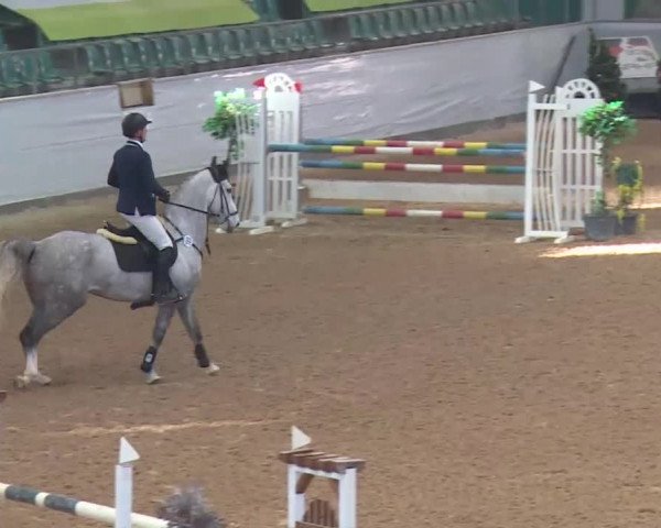 Reitturnier Kreuth 2017