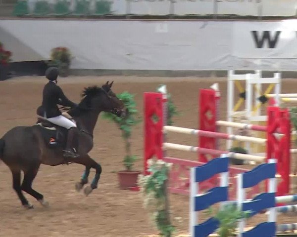 Reitturnier Kreuth 2017