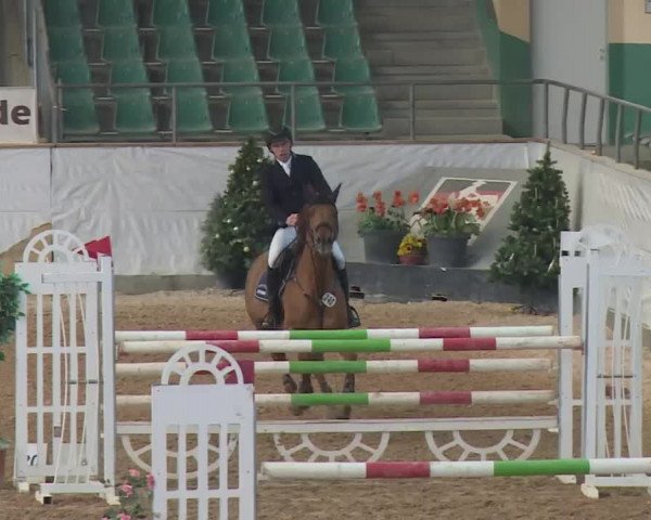 Reitturnier Kreuth 2017